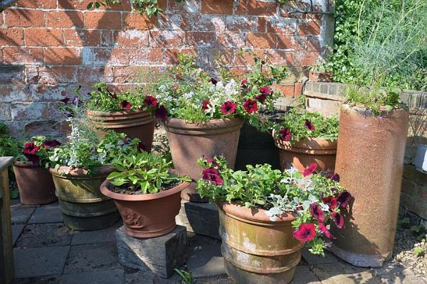 Paines Hill House 4.jpg